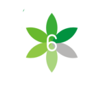 Punjab TB logo